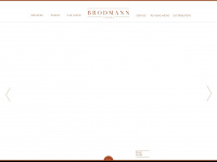 brodmann.at Webseite Vorschau