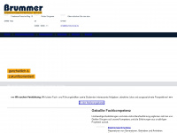 brummer-tarp.de Webseite Vorschau