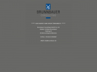 brunnbauer-consulting.de Webseite Vorschau