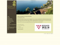 brunnmuehle.ch Webseite Vorschau