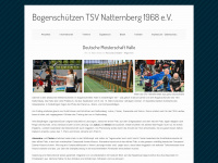 bs-natternberg.de Thumbnail