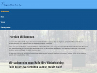 bs-root-zug.ch Webseite Vorschau