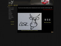 bse-net.de Webseite Vorschau