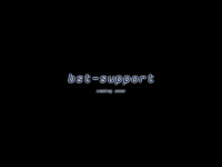 bst-support.ch Webseite Vorschau