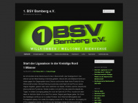 bsv-bamberg.de Webseite Vorschau