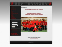 bsv-teningen.de Webseite Vorschau