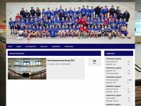 btsv-handball.de Webseite Vorschau