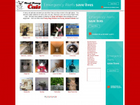 realfunnycats.com Webseite Vorschau