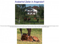 araberhof-zeiler.de Webseite Vorschau