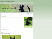 aschan.ch Webseite Vorschau
