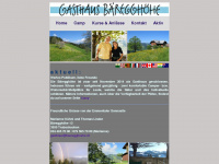 baeregghoehe.ch Webseite Vorschau