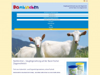 bambinchen.de Webseite Vorschau