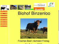 binzenloo.ch Webseite Vorschau
