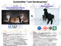 nordexpress.net Webseite Vorschau