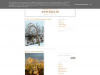 bopl.ch Webseite Vorschau