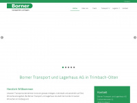 borner-ag.ch Webseite Vorschau
