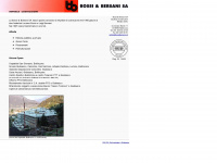 bossibersani.ch Webseite Vorschau