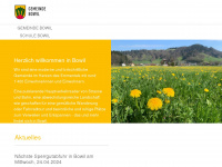 bowil.ch Webseite Vorschau