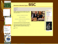 bs-cigars.ch Webseite Vorschau