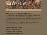 buchhorn.ch Webseite Vorschau