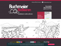 buchmaier.at Webseite Vorschau