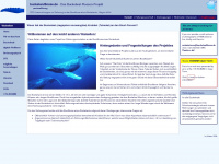 buckelwalflosse.de Webseite Vorschau
