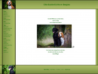 budde-beagles.de Webseite Vorschau