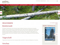 buendnerwald.ch Webseite Vorschau