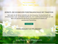 buergi-baumschulen.ch Webseite Vorschau