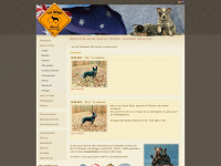 cattledog.de Webseite Vorschau