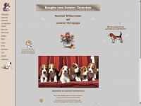 beagle-vom-swister-tuermchen.de Webseite Vorschau