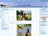 sypsenele.ucoz.com Webseite Vorschau