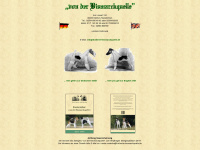 foxterrier-bismarckquelle.de Webseite Vorschau