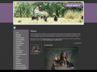 blackdevils.info Webseite Vorschau