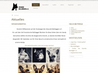 gesunde-bulldoggen.de Webseite Vorschau