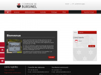 bursinel.ch Webseite Vorschau