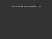 buschmeyerweb.de Webseite Vorschau