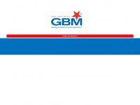 gb-management.net Webseite Vorschau