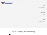 brugger-ag.ch Webseite Vorschau