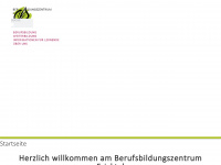 bzf.ch Webseite Vorschau