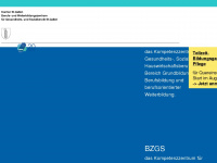 bzgs.ch Webseite Vorschau
