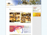 bzvo.ch Webseite Vorschau