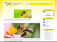 bzvv.ch Webseite Vorschau