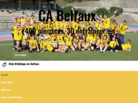 cabelfaux.ch Webseite Vorschau