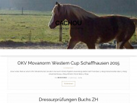 cachou.ch Webseite Vorschau