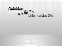 Caleidon.de