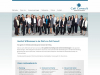 call-consult.at Webseite Vorschau