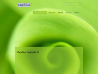 capillus-haarschnitt.de