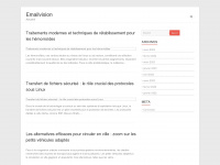 emailvision.fr Webseite Vorschau