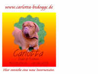 carlotta-bxdogge.de Webseite Vorschau